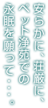 安らかに、荘厳に、ペット浄苑での永眠を願って・・・。